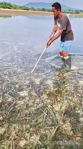 Spearing Success: How Traditional Fishing Techniques Feed Communities Today