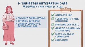 Video: Antepartum care (first trimester): Clinical sciences - Video Explanation! | Osmosis | Osmosis