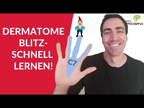 Learning dermatomes made easy (1/2): Remember cervical & thoracic dermatomes for the long term!