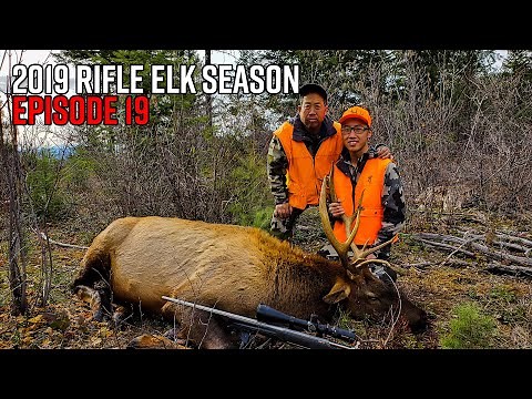 First Bull Down! - Washington OTC Rifle Elk Hunt | 2019 Hunting Season EP.19