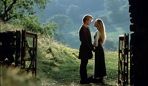 Mark Knopfler - Princess Bride 1987 (Full Album)