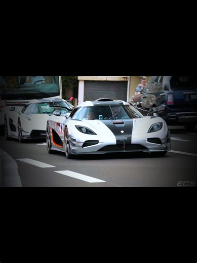 Exotic Cars Party in Monaco