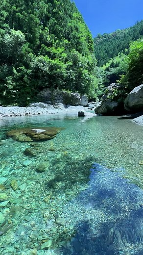 秋に美しい川の水中の景色