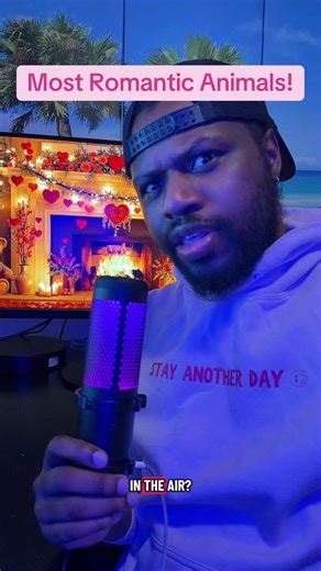 Discover the Most Romantic Animals Around the World