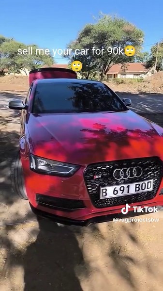 VAG PROJECTS BW (@vagprojectsbw)’s videos with original sound - Moshweshwe🇧🇼