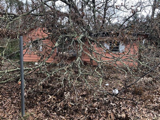 MS among top 10 states with highest home insurance rates; here's how to save