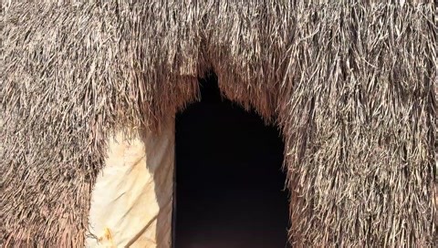 Festa takuara_2