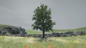 【Tree Simulator】现在，你是一棵树。