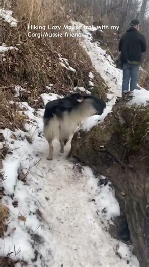 Hiking in Alaska lazy Mountain Lazy Moose trail Palmer Alaska