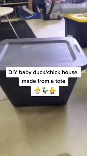 DIY Duckling and Chick Tote House: Simple and Cute Ideas