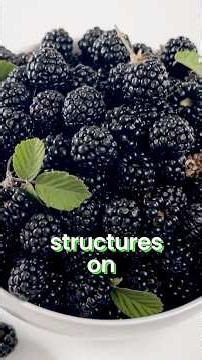 5 Fruits That Look Like They Are From Another Planet