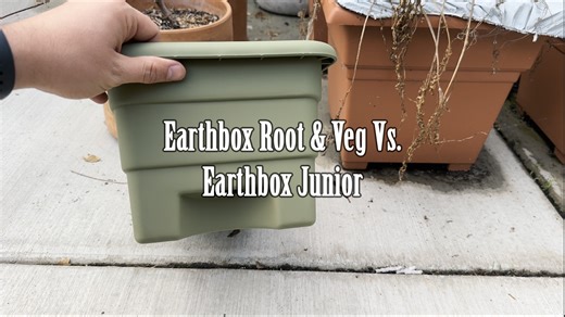 Watch Earthbox Root & Veg Vs. Earthbox Junior #thisorthat on Amazon Live