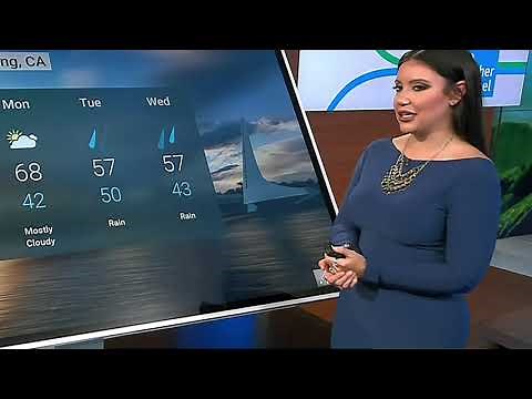 Felicia Combs - Tight Blue Dress and Tights - Weather Channel - Rear View - Easy On The Eyes