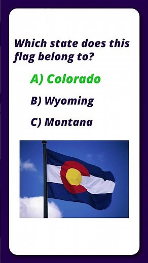 Guess the US State Flag Challenge #flagquiz #america #trivia