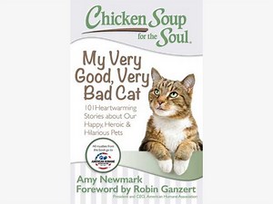 Chicken Soup for the Soul
