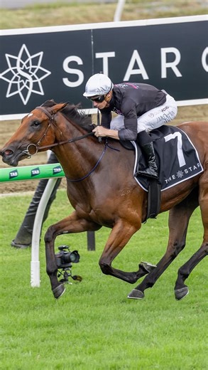 Shailer Racing on Instagram: "SHE’S BACK! 💎 TOORAK JEWEL is back in the barn after 10 days in the paddock following her $500,000 @magicmillions The Debut 2yo Plate win with eyes firmly on the Jewel Prelude at Eagle Farm on February 28 👀 #shailerracing #horseracing #racing #racehorseownership #racehorse #races #horses #magicmillions"