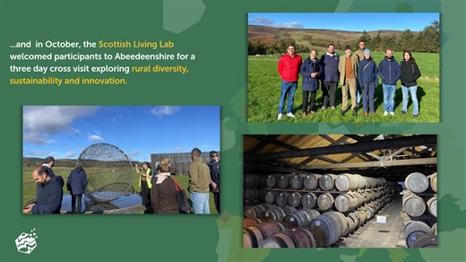 🎥✨ What did #GRANULAR achieve in 2025? As we look back on the past year, we’re proud to share some key milestones from the #GRANULAR project in 2025: ✅ 4 new reports, 🧭 A new interactive viewer launched on the digital platform, 🚀 3 Knowledge Transfer Accelerator events to boost exchange, 🤝 #GRANULARLivingLab Cross-visits were conducted to share lessons learned and real-world practices, …and much more! Watch the video recap to see the highlights and impacts in just a few minutes ⬇️ Available 