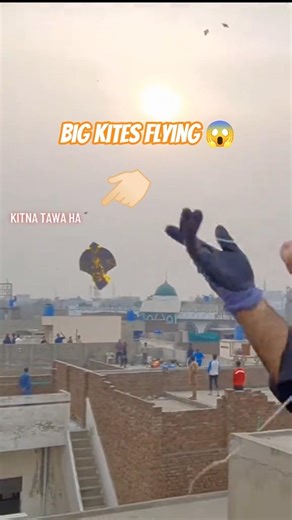 Big Kites Flying 😱 #kiteflying #kiteground #viralvideo #shorts #virakshorts