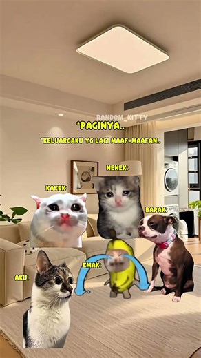 It doesn't feel like Eid is coming soon🥺 #pov #eidvibes #realated #catmeme #catmemes #viral #fyp