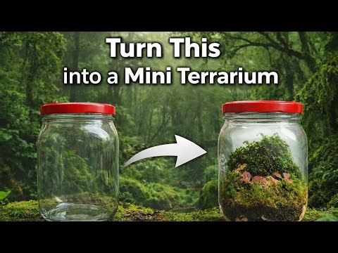 Turn a simple jar into a mini terrarium 🌿✨Watch the full transformation step by step