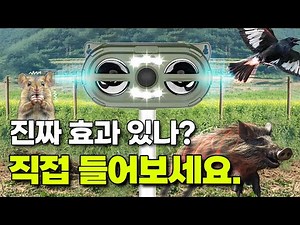 텃밭 농작물 지키는 법! 태양광 야생동물 퇴치기 단계별 모드 분석! #태양광퇴치기 #정원관리 #멧돼지퇴치