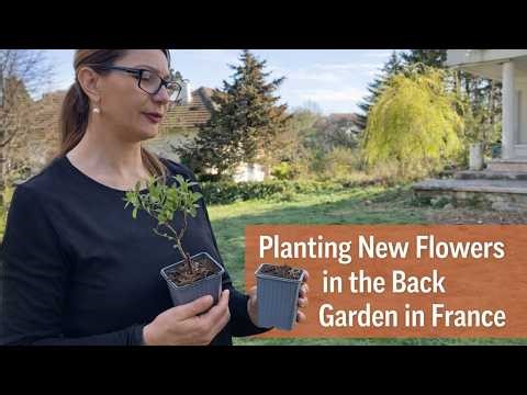Planting New Flowers in the Back Garden in France