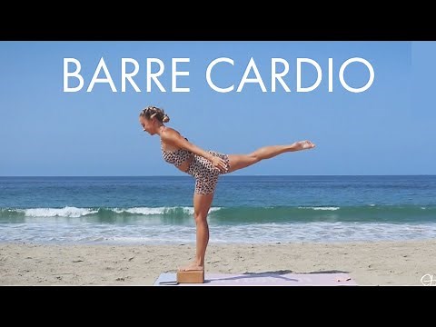 30 Min Barre Cardio Burn | At Home Full Body Workout