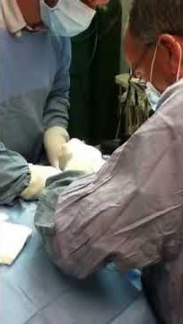 Heartworm surgery at Animal Medical Clinic of Goose Creek