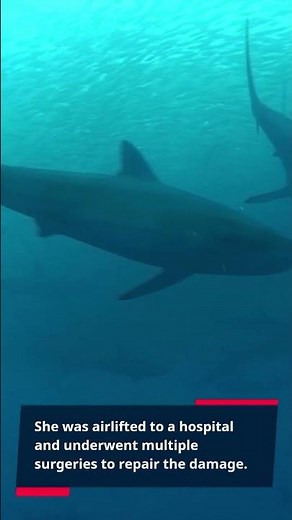 Shark Attack - Bethany Hamilton