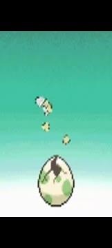 POKEMON SOUL SILVER - How to hatch the MISTERY EGG