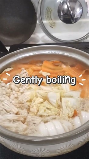 Homemade Meatballs in Japan