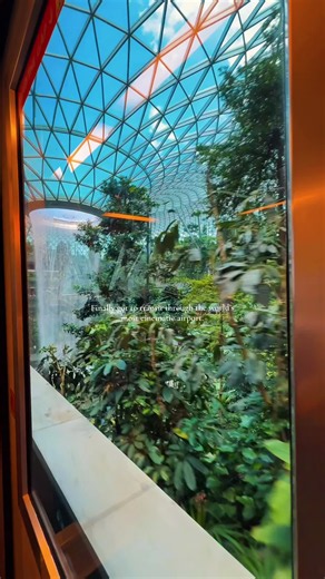 The skytrain between terminal 2 & 3 holds the best view 🤯 #singaporeairport