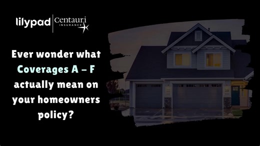 Centauri Insurance on Reels