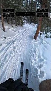 Keystone - Coyote Caper ◈ Full POV Run