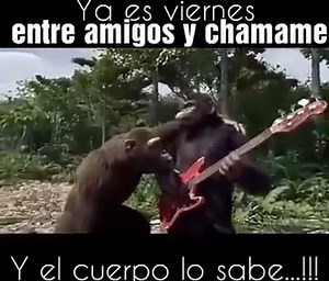 Hola Hola Amigos asi escuchan entre amigos y chamame en la selva | Entre Amigos Y Chamame Radio