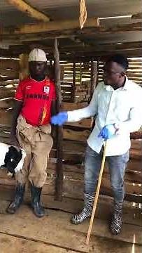 „Goat Deworming: Best Practices for Parasite Control“