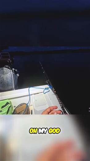 Fishing off the back dock on a summer night 🎣 #southfloridafishingchannel #fishing #boatlife #fish | South Florida Fishing Channel