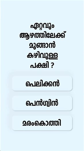 Test Your Short-Term Memory: How Well Can You Do? #shorts #quiz #memory