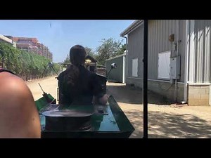 Santa Ana Zoo Train Ride 2022 4K