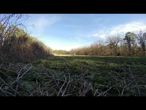 Turkey capture using rocket nets