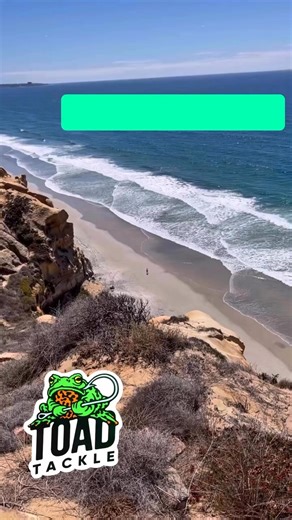 Check Us Out for Our Latest New Stock Drop  #ToadTackle #GreatLakesFishing #CoastalFishing #CaliforniaFishing #TorreyPines #StateParks #dnr #StateParkFishing #ParkFishing #coastline #saltwaterfishing #BeachVacation | Toad Tackle | Facebook