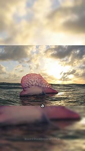 SHOCKING Photos That Will Leave You Speechless! #rarephotos #history #historical #historicalphotos #rarehistory #oldphotos #truecrime #interesting #facts https://amzn.to/47EDV1Z | Ｌｏａｄｉｎｇ ．．．