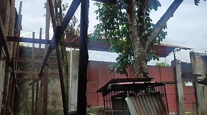 AA.Bantam Breeder on TikTok