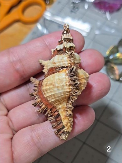 Gold Electroplated Conch Shell Pendant