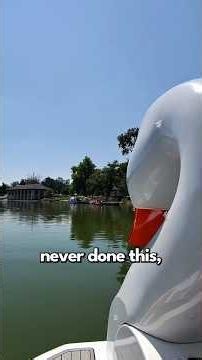 The NEW Guide to Wash Park's (City-Operated) Swan Boat Rentals 🦢☀️