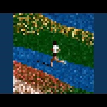 RUN YOUR RACE