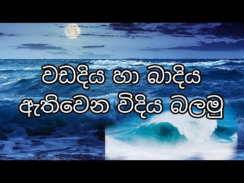 වඩදිය බාදිය ගැන චූටි ඔයාලා දැනන් හිටියද ? ලස්සනම ලස්සන video එකකින් ඉගෙන ගමු
