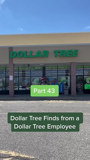 Budget-Friendly Dollar Tree Oil Diffuser and Essential Oils