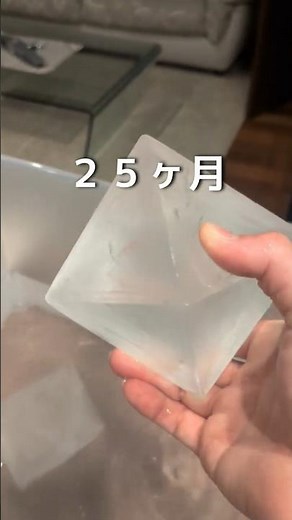 【ミョウバン結晶育成記録】25ヵ月目 #理科 #自由研究 #ミョウバンの結晶 #科学 #実験
