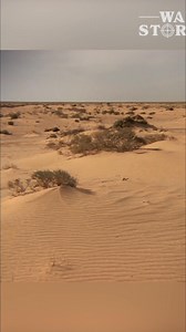 292K views · 3.3K reactions | Rommel details his plan to strike before the British in North Africa, focusing on cutting their supplies. He aimed to leverage the desert terrain to his advantage. A bold move in a harsh landscape. #Rommel #NorthAfrica #MilitaryHistory #DesertWarfare #WWII | War Stories | Facebook